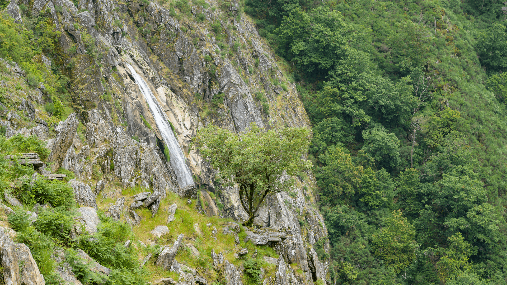 Frecha da Mizarela Waterfall